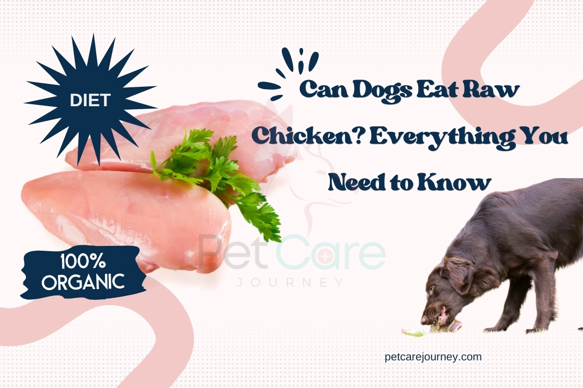 Can Dogs Eat Raw Chicken? Everything You Need to Know